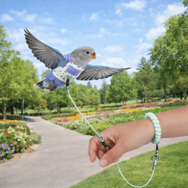 Escape Proof Parrot Harness Le - огляд і ціна Outdoor Adventure Training