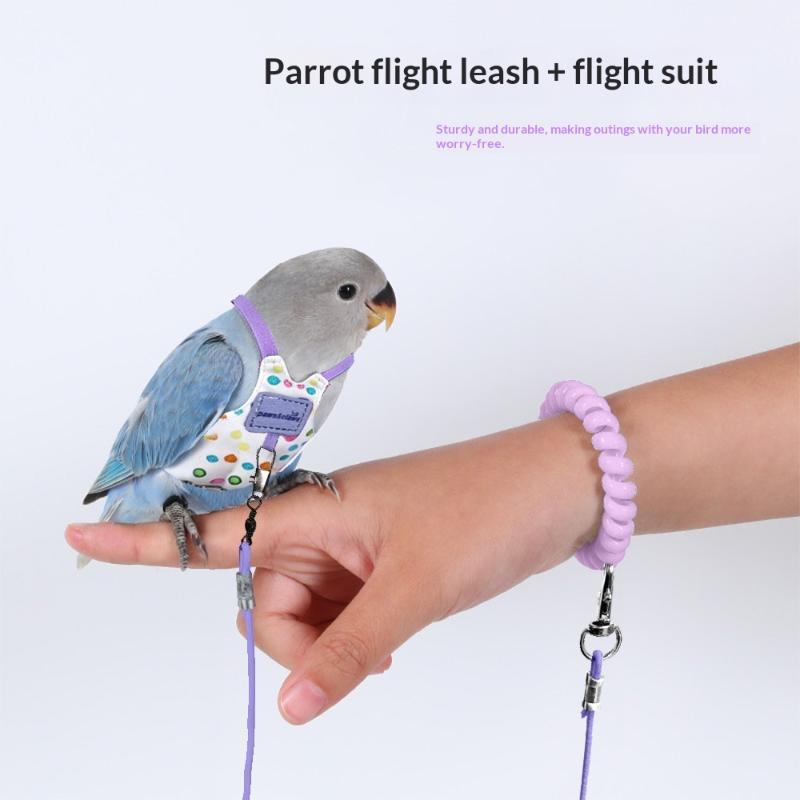 Escape Proof Parrot Harness Le - огляд і ціна Outdoor Adventure Training